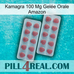 Kamagra 100 Mg Gelée Orale Amazon 19
